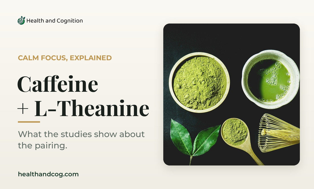 Caffeine and L-theanine: matcha green tea powder and fresh tea leaves